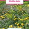 Blumenwiese &quot;Die Essbaren Blumen&quot; (100 G) | Blumensamen Von Bertrand -Samenhaus Geschäft 540960 Blumenwiese Pfarrgarten 100 g