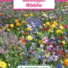 Blumenwiese Blumenteppich Mittelalter (100 G) | Blumensamen Von Bertrand 1 Blumenwiese Blumenteppich Mittelalter (100 G) | Blumensamen Von Bertrand -Samenhaus Geschäft 540965 Blumenwiese Blumenteppich Mittelalter 100 g