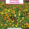 Blumenwiese Blumenteppich Tausendlichter (100 G) | Blumensamen Von Bertrand -Samenhaus Geschäft 540967 Blumenwiese Tausend Lichter 100 g