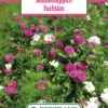 Blumenwiese Blumenteppich Fuchsias (100 G) | Blumensamen Von Bertrand 1 Blumenwiese Blumenteppich Fuchsias (100 G) | Blumensamen Von Bertrand -Samenhaus Geschäft 540976 Blumenwiese Blumenteppich Fuchsias 100 g