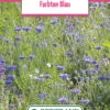 Blumenwiese Farbton Blau (100 G) | Blumensamen Von Bertrand -Samenhaus Geschäft 540980 Blumenwiese Farbton Blau 100 g
