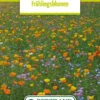 Blumenwiese Frühlingsblumen (100 G) | Blumensamen Von Bertrand -Samenhaus Geschäft 540988 Blumenwiese Fruehlingsblumen 100 g