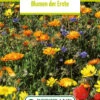 Blumenwiese Ackerwildkräutern (100 G) | Blumensamen Von Bertrand -Samenhaus Geschäft 540992 Blumenwiese Blumen der Ernten 100 g