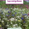 Blumenwiese Zwergenmischung (100 G) | Blumensamen Von Bertrand -Samenhaus Geschäft 541002 Blumenwiese Super Niedrige Blumen 100 g