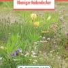 Blumenwiese Blumiger Bodendecker Für Gründächer (100 G) | Blumensamen Von Bertrand -Samenhaus Geschäft 541006 Blumenwiese Blumiger Bodendecker 100 g