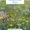 Blumenwiese Blumen Für Nützlinge (100 G) | Blumensamen Von Bertrand -Samenhaus Geschäft 541007 Blumenwiese Nuetzlingsnutzende Blumen 100 g