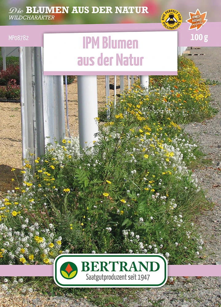 Blumenwiese IPM Wildblumenmischung (100 G) | Blumensamen Von Bertrand 3 Blumenwiese IPM Wildblumenmischung (100 G) | Blumensamen Von Bertrand