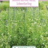Blumenwiese Schmetterlingswiese (100 G) | Blumensamen Von Bertrand 1 Blumenwiese Schmetterlingswiese (100 G) | Blumensamen Von Bertrand -Samenhaus Geschäft 541023 Blumenwiese Blumen aus der Natur Schmetterling 100 g