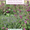 Blumenwiese Staudenmischung Für Schatten &amp; Lichtungen (100 G) | Blumensamen Von Bertrand -Samenhaus Geschäft 541025 Blumenwiese Blumen aus der Natur Schatten und Lichtungen 100 g