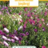 Blumenwiese Duftende Blumen (einjährig) (100 G) | Blumensamen Von Bertrand -Samenhaus Geschäft 541033 Blumenwiese Duftende Blumen einjaehrig 100 g