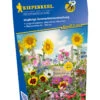 Einjährige Sommerblumenmischung (30 G) | Blumenwiese Von Kiepenkerl -Samenhaus Geschäft 542303 Einjaehrige Sommerblumenmischung 30 g 4965 0