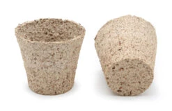 6 Cm Anzuchttopf Kokos Rund (2592 Stück) | Anzuchttöpfe Von Jiffy 10 6 Cm Anzuchttopf Kokos Rund (2592 Stück) | Anzuchttöpfe Von Jiffy -Samenhaus Geschäft 542628 6 cm Anzuchttopf aus Kokos rund 2592 Stueck 30812200 jf 0