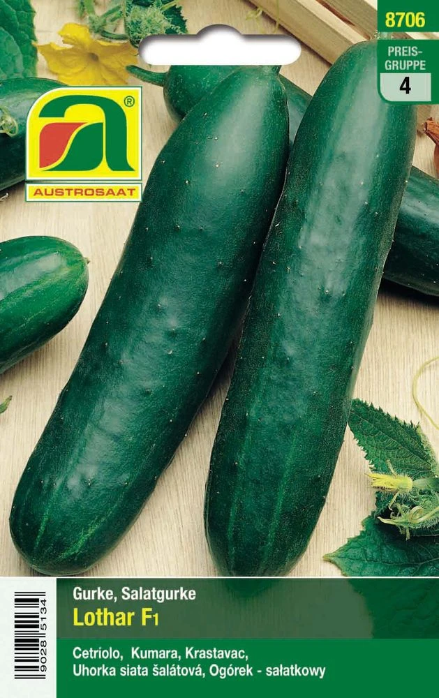 Gurke Lothar F1 | Gurkensamen Von Austrosaat 3 Gurke Lothar F1 | Gurkensamen Von Austrosaat
