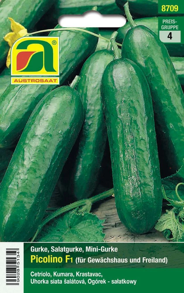 Minigurke Picolino F1 | Minigurkensamen Von Austrosaat 3 Minigurke Picolino F1 | Minigurkensamen Von Austrosaat
