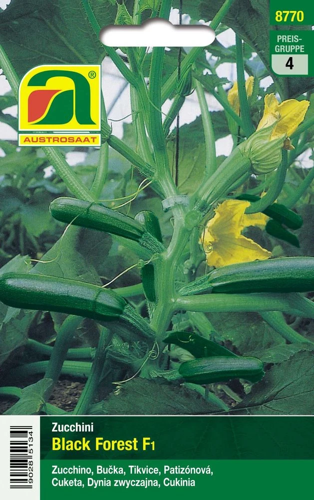 Zucchini Black Forest F1 | Zucchinisamen Von Austrosaat 4 Zucchini Black Forest F1 | Zucchinisamen Von Austrosaat – Bild 2