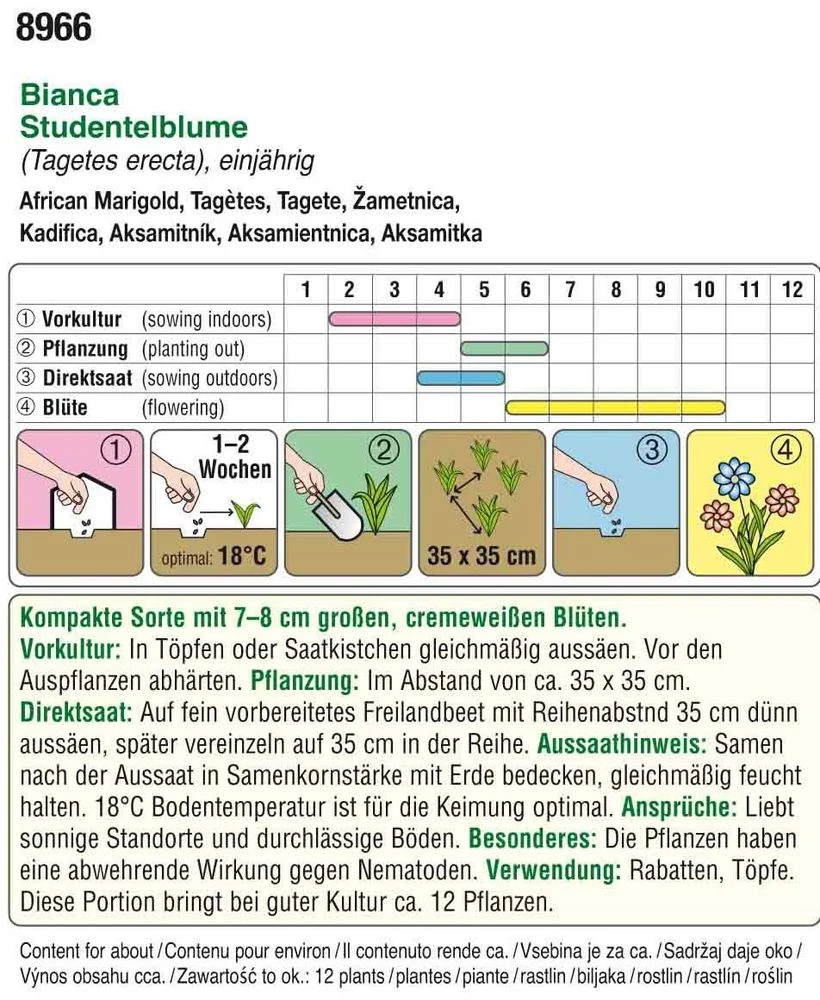 Studentenblume Bianca F1 | Studentenblumensamen Von Austrosaat 4 Studentenblume Bianca F1 | Studentenblumensamen Von Austrosaat – Bild 2