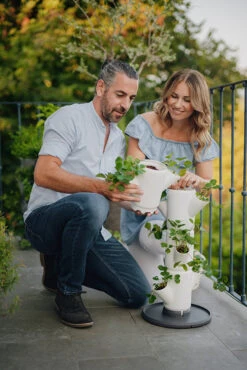 Sissi Strawberry Erdbeerturm Starter Weiß (4 Etagen) | Erdbeertürme Von Gusta Garden -Samenhaus Geschäft 543337 Sissy Strawberry starter weiss 4 Etagen 5