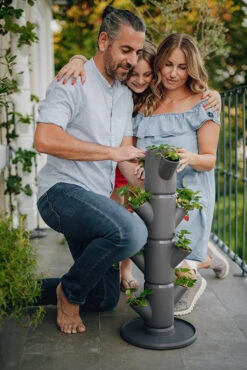 Sissi Strawberry Erdbeerturm Starter Anthrazit (4 Etagen) | Erdbeertürme Von Gusta Garden -Samenhaus Geschäft 543338 Sissy Strawberry starter anthrazit 4 Etagen 2