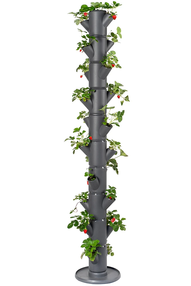 Sissi Strawberry Erdbeerturm Infinity Anthrazit (10 Etagen) | Erdbeertürme Von Gusta Garden 3 Sissi Strawberry Erdbeerturm Infinity Anthrazit (10 Etagen) | Erdbeertürme Von Gusta Garden