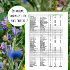 Bienenweide Region Süd (mehrjährig, 50 G) | Bienenwiese Von Biobalu