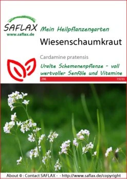 Wiesenschaumkraut | Wildblumensamen Von Saflax