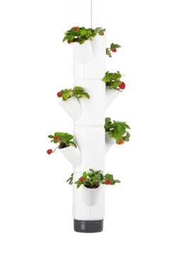 Sissi Strawberry Erdbeerturm Hanging Weiß (4 Etagen) | Erdbeertürme Von Gusta Garden -Samenhaus Geschäft 543597 Sissi Strawberry Hanging weiss 4 Etagen