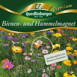 Bienen- Und Hummelmagnet (500 G) | Bienenwiese Von Quedlinburger -Samenhaus Geschäft 543634 Bienen und Hummelmagnet 500 g 2971747 qb 1 1