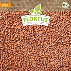 Bio-Kresse (200 G) | Bio-Kressesamen Von Flortus -Samenhaus Geschäft 543636 Bio Kresse 200 g 4