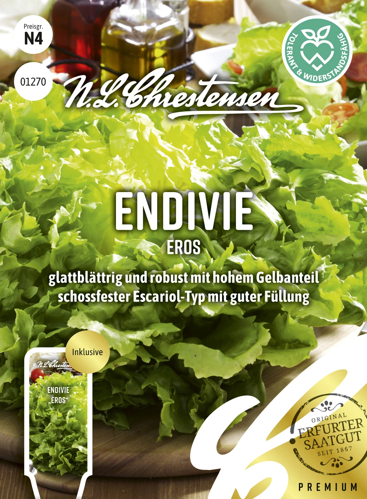 Endivie Eros | Endiviensalatsamen Von N.L. Chrestensen 3 Endivie Eros | Endiviensalatsamen Von N.L. Chrestensen
