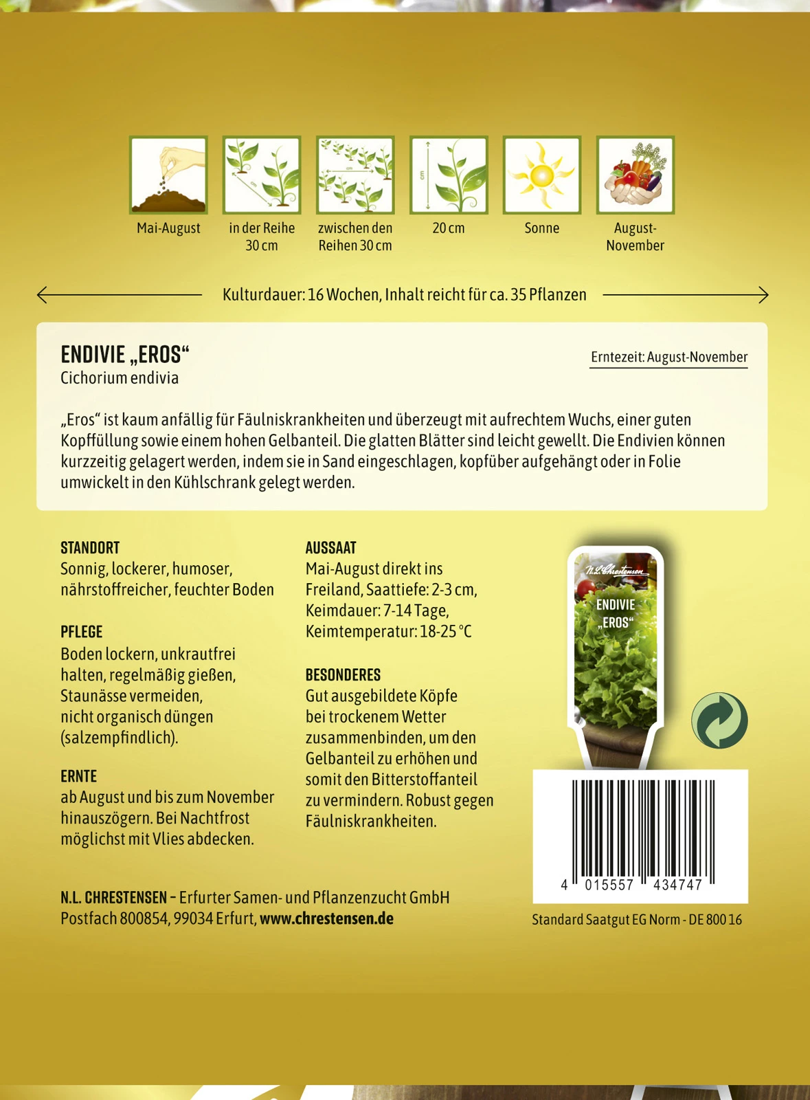 Endivie Eros | Endiviensalatsamen Von N.L. Chrestensen 4 Endivie Eros | Endiviensalatsamen Von N.L. Chrestensen – Bild 2