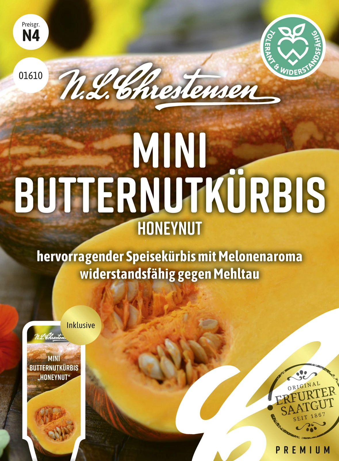 Mini Butternutkürbis Honeynut | Butternutkürbissamen Von N.L. Chrestensen 4 Mini Butternutkürbis Honeynut | Butternutkürbissamen Von N.L. Chrestensen – Bild 2