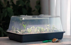 Gewächshaus Lumio M LED | Zimmergewächshaus Von Romberg