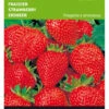 Erdbeeren Grandian F1 | Erdbeersamen Von Buzzy Seeds 2 Erdbeeren Grandian F1 | Erdbeersamen Von Buzzy Seeds -Samenhaus Geschäft 544687 Buzzy Erdbeeren Grandian F1