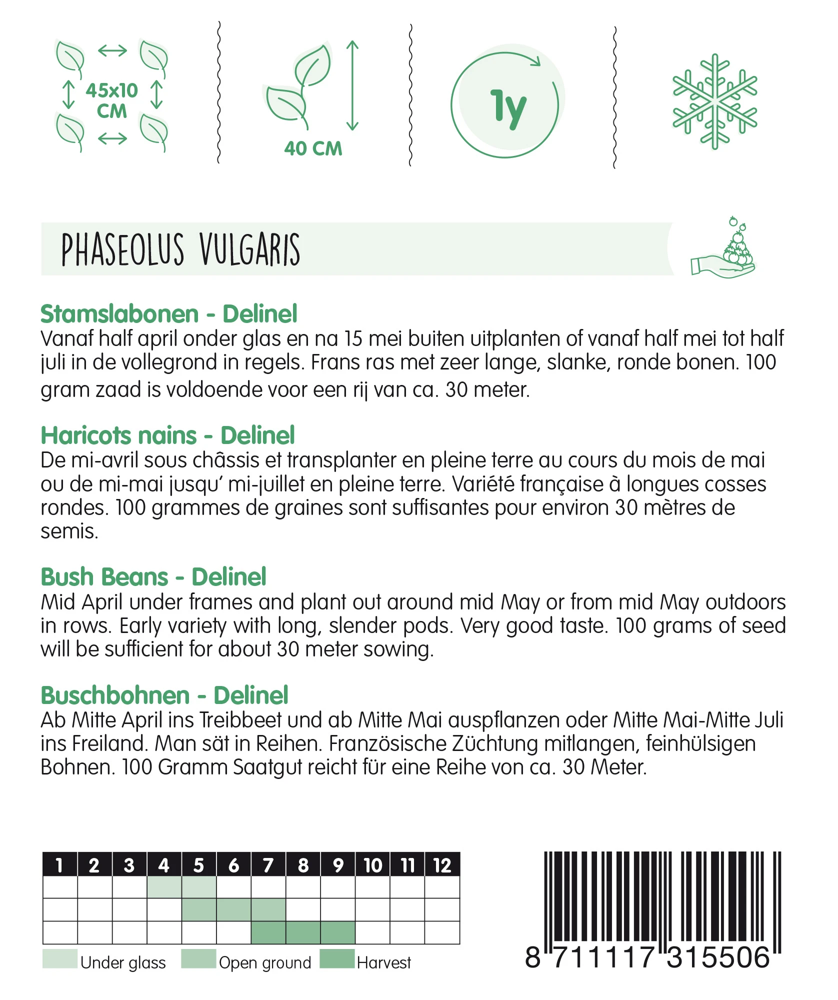 Buschbohnen Delinel (100 G) | Buschbohnensamen Von Hortitops 4 Buschbohnen Delinel (100 G) | Buschbohnensamen Von Hortitops – Bild 2