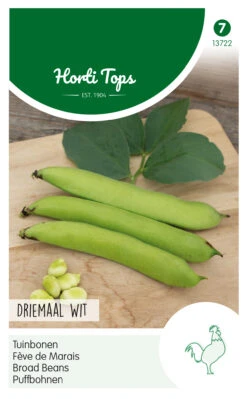 Puffbohnen Dreifach Weiße (250 G) | Puffbohnensamen Von Hortitops 5 Puffbohnen Dreifach Weiße (250 G) | Puffbohnensamen Von Hortitops -Samenhaus Geschäft 546032 Puffbohnen Dreifach Weisse 250 g 13722 ht 0