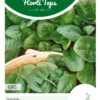 Spinat Nores (250 G) | Spinatsamen Von Hortitops 2 Spinat Nores (250 G) | Spinatsamen Von Hortitops -Samenhaus Geschäft 546062 Spinat Nores 250 g 13830 ht 0