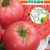 Tomate Rose Crush F1 | Tomatensamen Von Samen Pfann -Samenhaus Geschäft 546091 Tomate Rose Crush F1 G859 sp 0