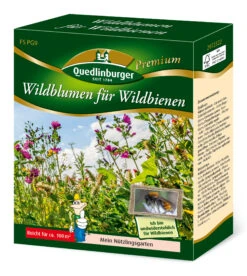 Wildblumen Für Wildbienen | Wildblumenwiese Von Quedlinburger