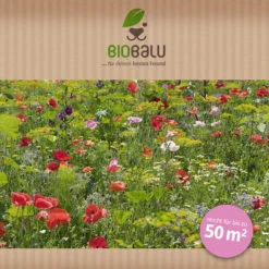 Saatgutmischung Sommerzauber (30 G) | Bienenwiese Von Biobalu -Samenhaus Geschäft 547420 Saatgutmischung Sommerzauber 30 g 1