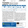 Fleisch - Tomate Buffalosun F1 | Fleischtomatensamen Von Kiepenkerl -Samenhaus Geschäft 547439 Fleisch Tomate Buffalosun F1 1