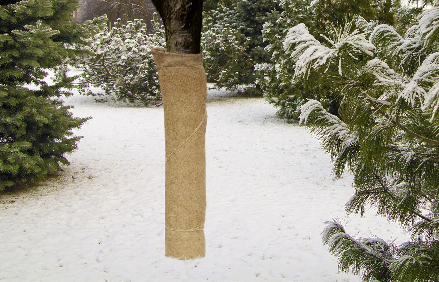 Kokos-Schutzmatte Basic Natur (150 X 50 Cm) | Winterschutz Von Gardissimo 2 Kokos-Schutzmatte Basic Natur (150 X 50 Cm) | Winterschutz Von Gardissimo