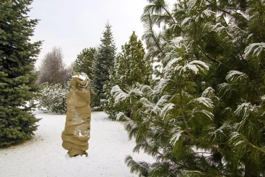 Jute-Schutzgewebe Natur (100 X 300 Cm) | Winterschutz Von Gardissimo 3 Jute-Schutzgewebe Natur (100 X 300 Cm) | Winterschutz Von Gardissimo