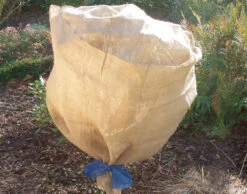 Jute-Schutzvlies Natur (500 X 105 Cm) | Winterschutz Von Gardissimo