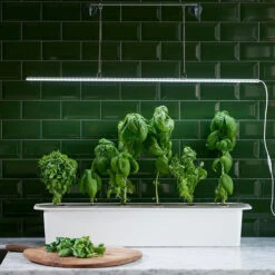 LED-Pflanzenleuchte Mit Adapter 23W (85 Cm) | Beleuchtung Von Nelson Garden 7 LED-Pflanzenleuchte Mit Adapter 23W (85 Cm) | Beleuchtung Von Nelson Garden -Samenhaus Geschäft 547623 LED Pflanzeneuchte mit Adapter 23W 85 cm 5567A ng 2