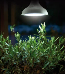 LED-Pflanzeneuchte 18W E27 | Beleuchtung Von Nelson Garden