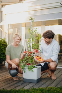 Tom Tomato Tomatentopf Hellgrau | Tomatentöpfe Von Gusta Garden -Samenhaus Geschäft 547957 Tom Tomato Hellgrau 6