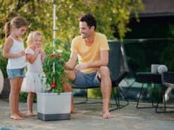 Tom Tomato Tomatentopf Hellgrau | Tomatentöpfe Von Gusta Garden -Samenhaus Geschäft 547957 Tom Tomato Hellgrau 7