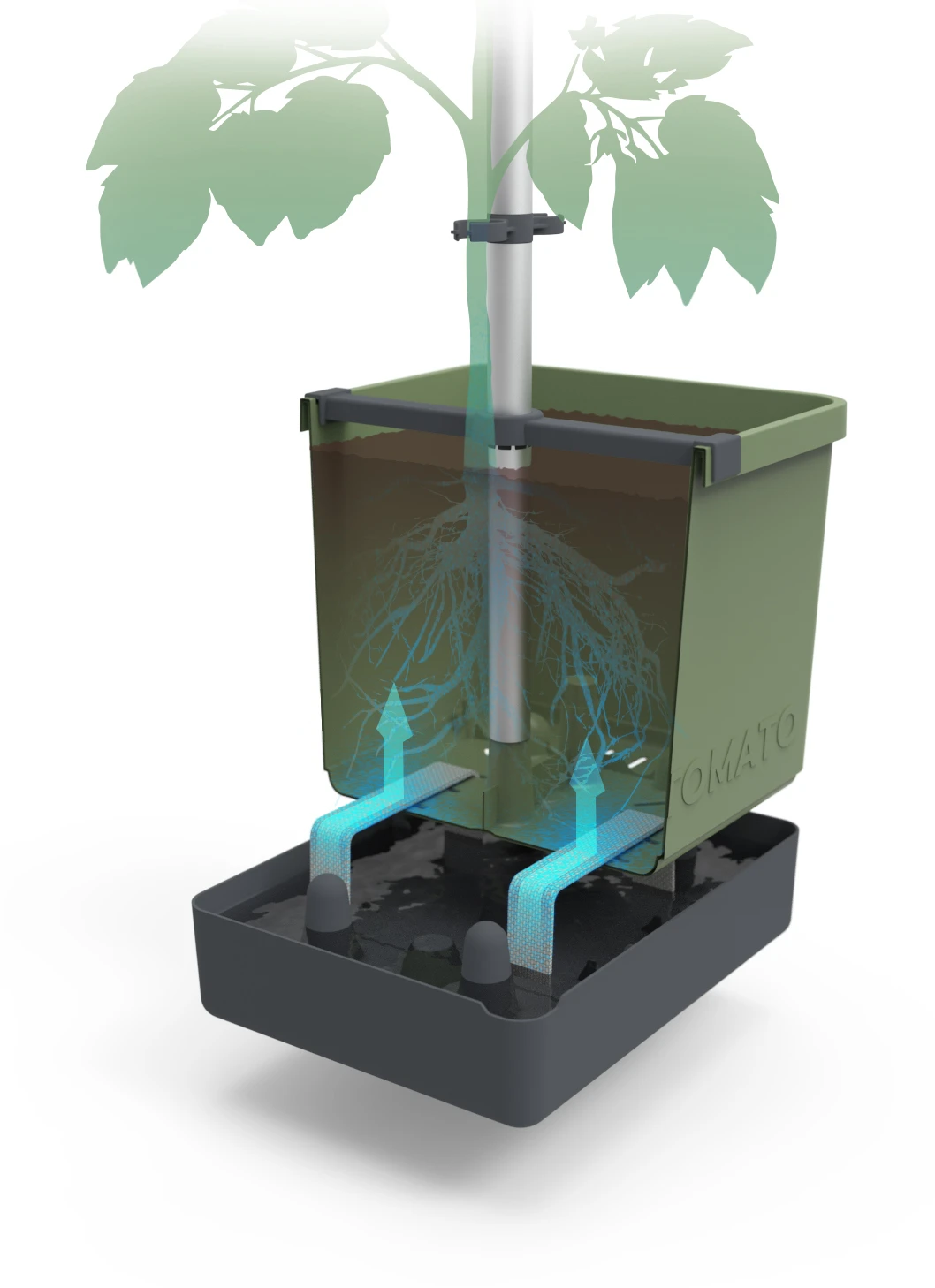 Tom Tomato Tomatentopf Dunkelgrün | Tomatentöpfe Von Gusta Garden 5 Tom Tomato Tomatentopf Dunkelgrün | Tomatentöpfe Von Gusta Garden – Bild 3