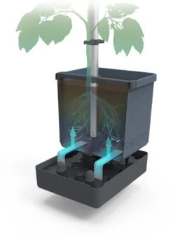 Tom Tomato Tomatentopf Blau | Tomatentöpfe Von Gusta Garden -Samenhaus Geschäft 547959 Tom Tomato Blau 2