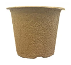 7 X 10,5 Cm Anzuchttopf NT Rund (800 Stück) | Anzuchttöpfe Von Fertil -Samenhaus Geschäft 548139 7 x 10 5 cm Anzuchttoepfe rund 800 Stueck 591 C1 1